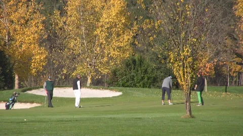 Golf play Stock Footage 8766550