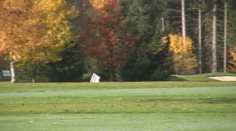 Golf play Stock Footage 8766756