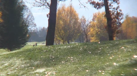 Golf play Stock Footage 8768021