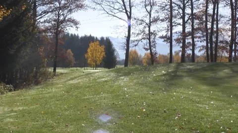 Golf play Stock Footage 8768423