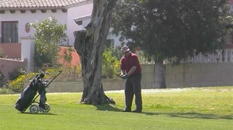 Golf play Stock Footage 8776373