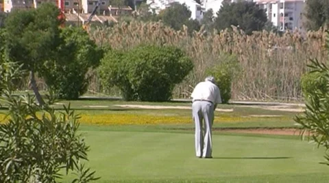 Golf play Stock Footage 8776491