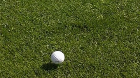 Golf play Stock Footage 8776829