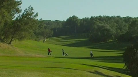 Golf play Video stock 8776871