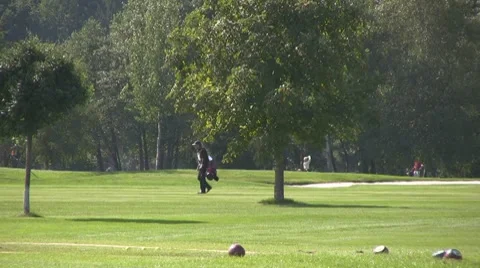 Golf play Stock Footage 8778617