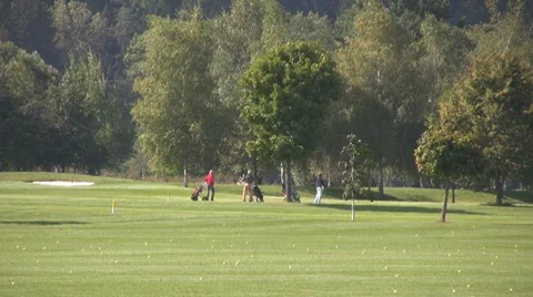 Golf play Stock Footage 8780153
