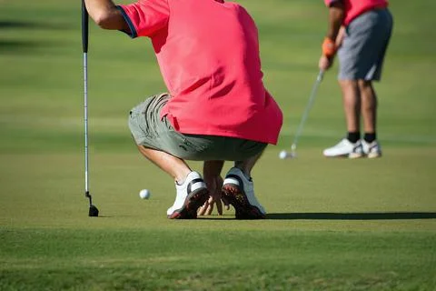 Golf player crouching and study the green before putting shot Stock Photos