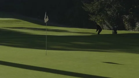 Golf. Player hitting ball from the fairways. Video stock 142543028