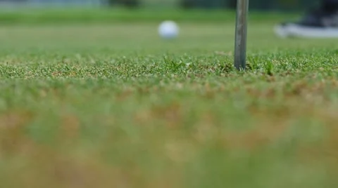Golf player strikes ball on golf course Stock Footage 63829045