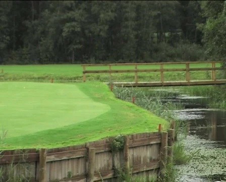 Golf playing 01 Stock Footage 83199