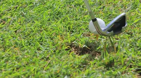 Golf playing Stock Footage 8946891