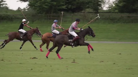 Golf, polo on horseback Stock Footage 218004614