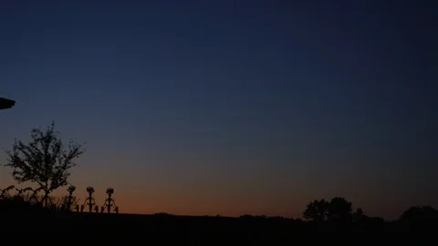 Golf Puh Carts at Dawn 1 Stock Footage 108458924