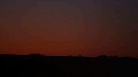 Golf Push Carts at Dawn 2 Stock Footage 108460105