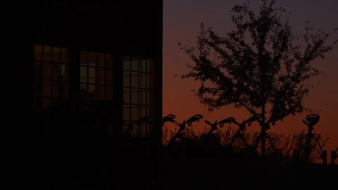 Golf Push Carts at Dawn 3 Stock Footage 108461307