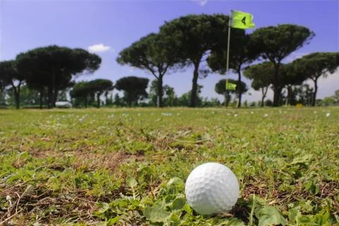 Golf putter and ball Stock Photos