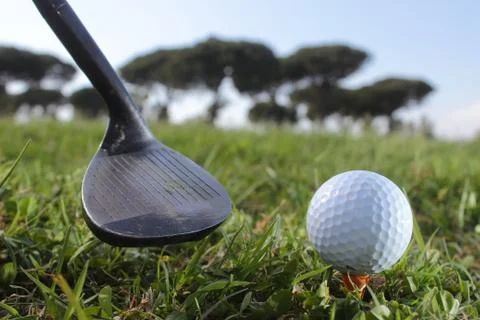 Golf putter and ball Stock Photos