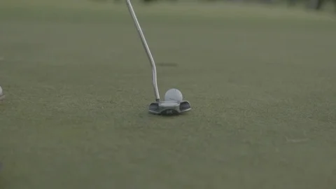 Golf putting on the green Stock Footage 74114585