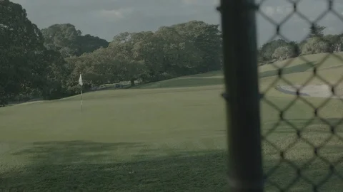 Golf putting on the green Stock Footage 74115352