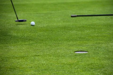Golf putting on green 스톡 사진
