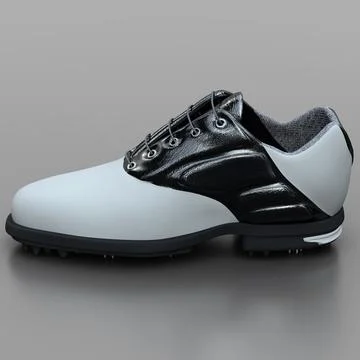 3D Model: Golf Shoes ~ Buy Now #91482615 | Pond5