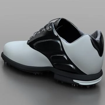 3D Model: Golf Shoes ~ Buy Now #91482615 | Pond5