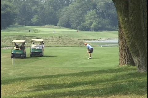 Golf Swing Stock Footage 297626