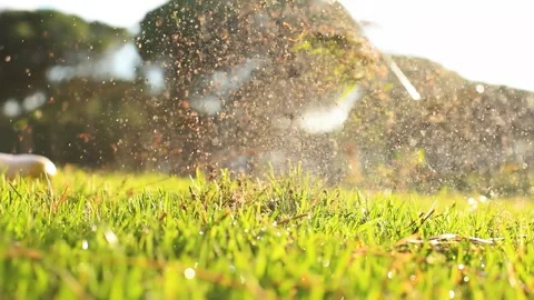 Golf Swing on the green grass Stock Footage 232921853