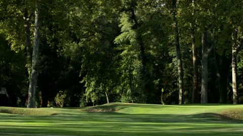 Golf Swing POV Stock Footage 272215204