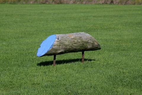 Golf tee mark 스톡 사진