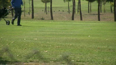Golf time 3 Stock Footage 266568