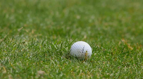 Golf training 02 Vidéo 38691683