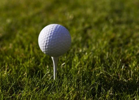 Golfball on Tee Stock Photos