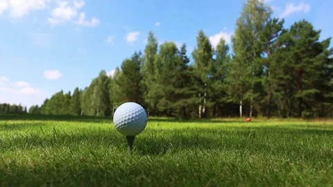 Golfer action to win after long putting golf ball on the green golf Video stock 166593447