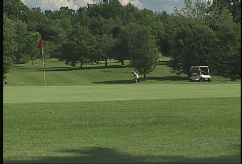 Golfer chip shot Stock Footage 96473