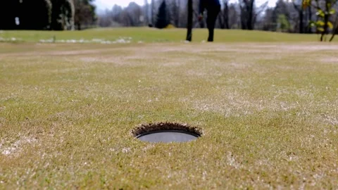 Golfer Chipping the Golf Ball to the Hole on the Putting Green Видео 191941925