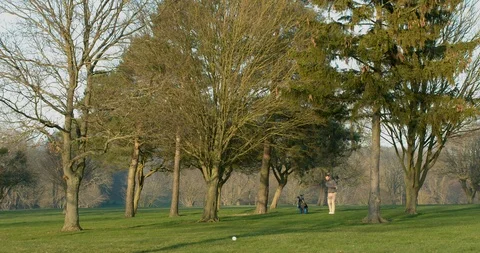 A Golfer chips out of the trees ball flying past camera. Vídeo Stock 103586747