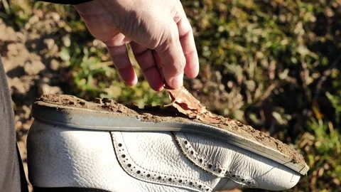 Golfer Cleaning Below Her Golf Shoes from Leaves and Dirt Stock-Footage 265165766