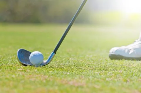 Golfer in a golf course Stock Photos
