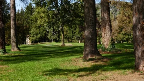 Golfer Hitting the Ball From the Trees to Putting Green in a Sunny Autumn Day Video stock 220477355