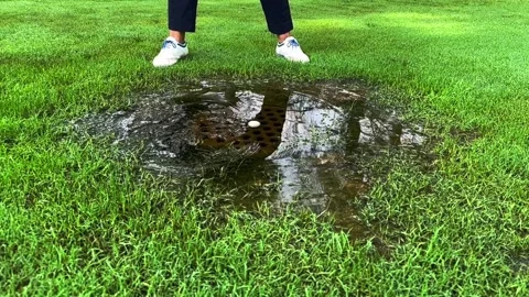 Golfer Hitting the Golf Ball with Her Golf Club in a Water Pond on the Fairway Stock Footage 284918871