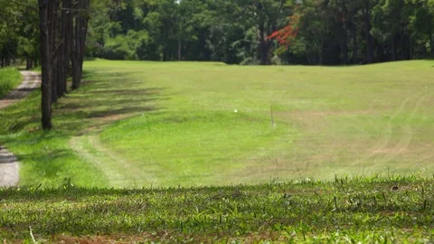 Golfer hitting golf ball on tee zone in golf course Stock-Footage 107514312