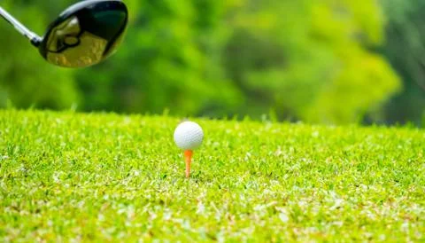 Golfer hitting golf ball on tee off zone  Stock Photos