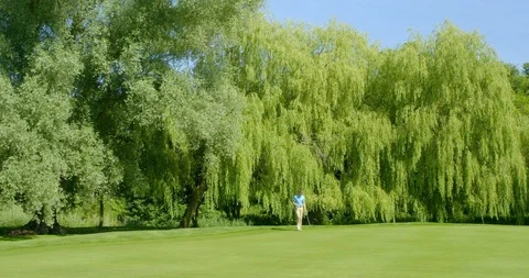 A Golfer makes a great putt on a beautiful golf course. Video stock 112016594