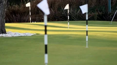 Golfer practicing Stock Footage 22183466