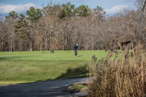 Golfer putting at a golf course Stock Photos