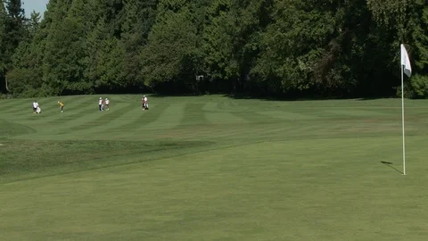 Golfer shooting from a distance. Stockbeeldmateriaal 76781257