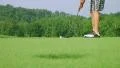Golfer Sinks Putt 03 HD Footage
