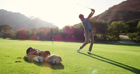 Golfer Takes a Swing Stock Footage 262112370