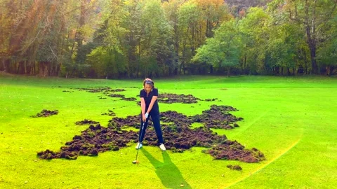 Golfer Taking a Shot From Fairway with Damage from Wild Boar on golf Course 動画素材 164517860